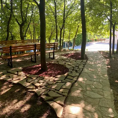 Woodrock * Sarajevo